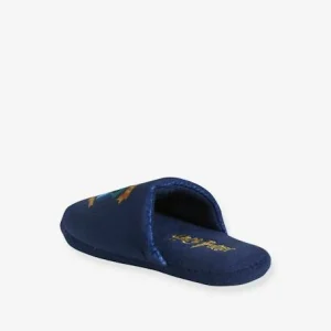 Chaussons Garçon Harry Potter® Bleu – Harry Potter Paiement sécurisé 13