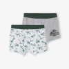 magasin france Lot De 2 Boxers Garçon Jurassic World® Blanc / Gris – Jurassic World 17