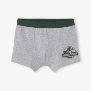 magasin france Lot De 2 Boxers Garçon Jurassic World® Blanc / Gris – Jurassic World 11