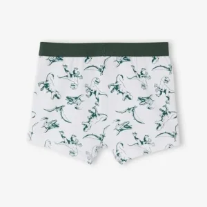 magasin france Lot De 2 Boxers Garçon Jurassic World® Blanc / Gris – Jurassic World 13