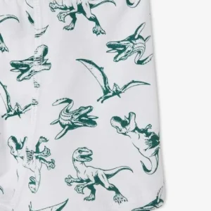 magasin france Lot De 2 Boxers Garçon Jurassic World® Blanc / Gris – Jurassic World 15