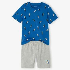 Lot De 2 Pyjashorts “Toucans” Garçon Bleu électrique – Vertbaudet remise en ligne 10