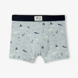 Lot De 3 Boxers Stretch “animaux Marins” Garçon Lot Bleu Et Blanc – Vertbaudet bas prix 14