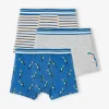 Large choix en ligne Lot De 3 Boxers Stretch “toucans” Garçon Bleu électrique – Vertbaudet 22