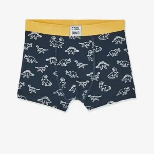 Lot De 5 Boxers Stretch Garçon Dino Lot 5 – Vertbaudet vente pas cher en ligne 12