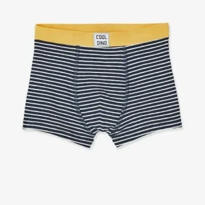 Lot De 5 Boxers Stretch Garçon Dino Lot 5 – Vertbaudet vente pas cher en ligne 16