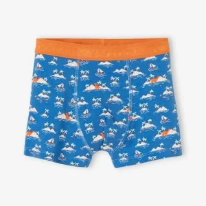 REMISE Lot De 5 Boxers Stretch Garçon “dino Tropicaux” Bleu Ardoise – Vertbaudet 10