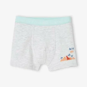 REMISE Lot De 5 Boxers Stretch Garçon “dino Tropicaux” Bleu Ardoise – Vertbaudet 12