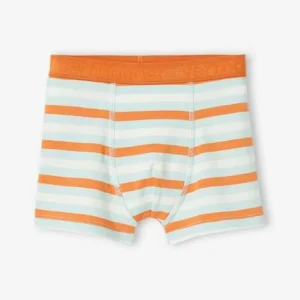 REMISE Lot De 5 Boxers Stretch Garçon “dino Tropicaux” Bleu Ardoise – Vertbaudet 14