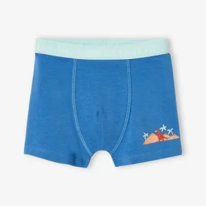 REMISE Lot De 5 Boxers Stretch Garçon “dino Tropicaux” Bleu Ardoise – Vertbaudet 16