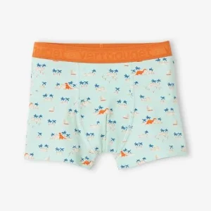 REMISE Lot De 5 Boxers Stretch Garçon “dino Tropicaux” Bleu Ardoise – Vertbaudet 18