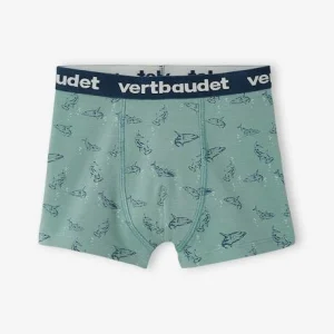 Lot De 5 Boxers Stretch “requins” Garçon Lot Bleu – Vertbaudet comparez les prix 12