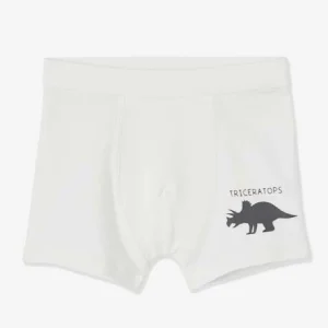 Lot De 7 Boxers Stretch Garçon Dinosaures Lot Ivoire – Vertbaudet qualité supérieure 10