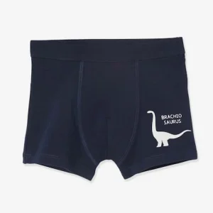 Lot De 7 Boxers Stretch Garçon Dinosaures Lot Ivoire – Vertbaudet qualité supérieure 12