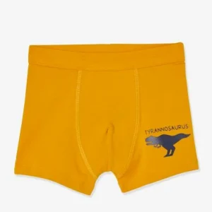 Lot De 7 Boxers Stretch Garçon Dinosaures Lot Ivoire – Vertbaudet qualité supérieure 14