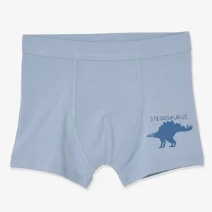 Lot De 7 Boxers Stretch Garçon Dinosaures Lot Ivoire – Vertbaudet qualité supérieure 16