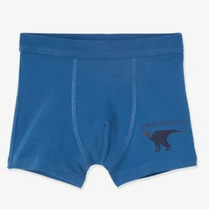 Lot De 7 Boxers Stretch Garçon Dinosaures Lot Ivoire – Vertbaudet qualité supérieure 18