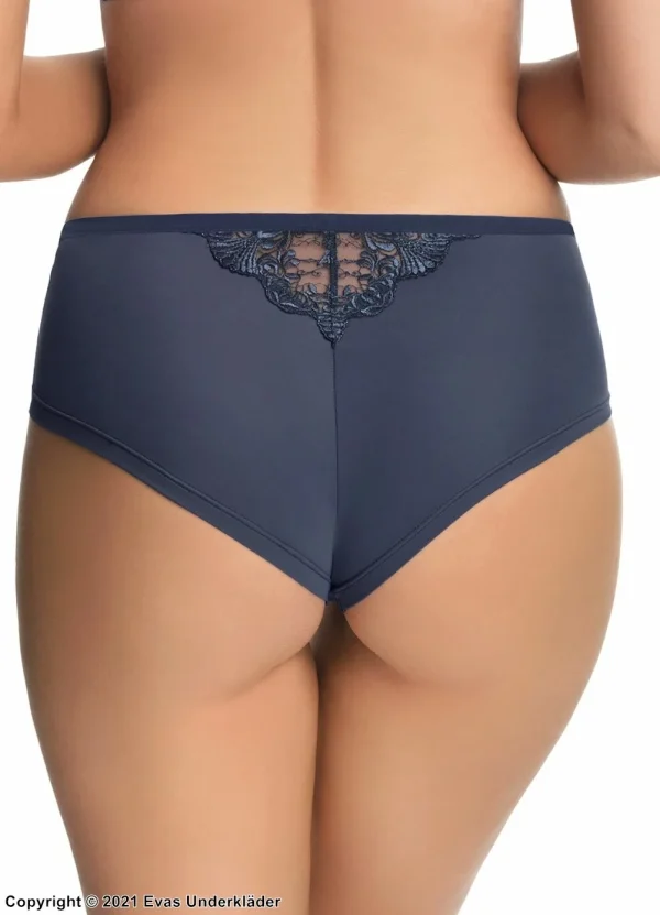 Beautiful Cheeky Panties, Embroidery, Slightly Higher Waist, Sheer Inlay prix de gros 3