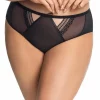 Livraison rapide Romantic Panties, Sheer Mesh, Lace Inlays 19