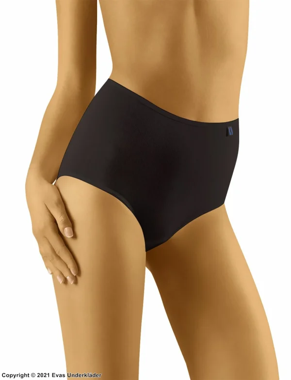 Nouvelle tendance Maxi Briefs, Smooth And Comfortable Fabric, High Waist, S To 3XL, 2-pack 10