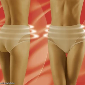 marques de renommée Shaping Panties, Sheer Inlays, High Waist 13