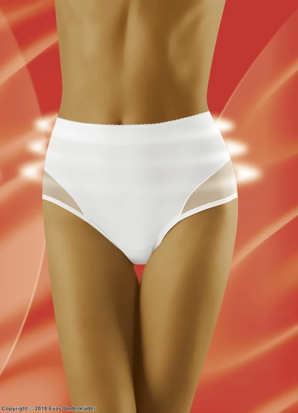 marques de renommée Shaping Panties, Sheer Inlays, High Waist 1